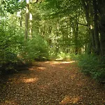 Fletcher Hotel-restaurant Mooi Veluwe Ξενοδοχείο