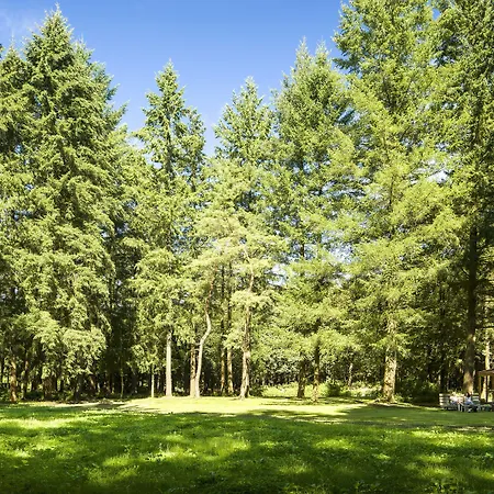 Fletcher Hotel-restaurant Mooi Veluwe 4* Putten