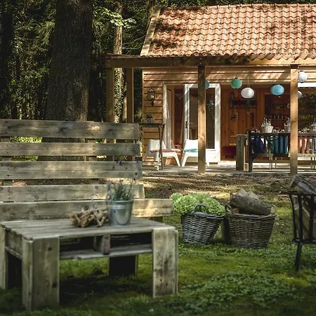 호텔 Fletcher Hotel-restaurant Mooi Veluwe
