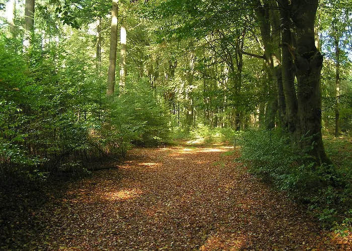 Fletcher Hotel-restaurant Mooi Veluwe Hotell