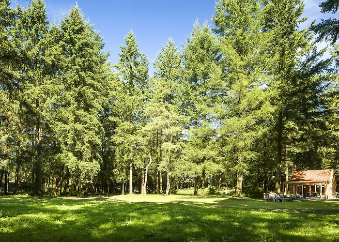 Fletcher Hotel-restaurant Mooi Veluwe 4* بوتِنْ