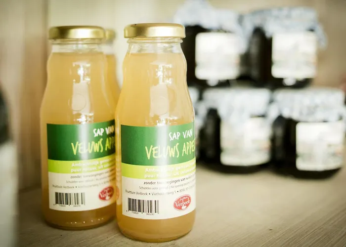 فندق Fletcher Hotel-restaurant Mooi Veluwe 4*